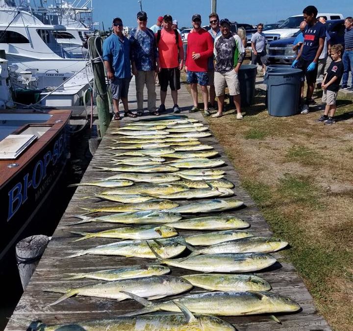 Fishing Report | 5/25/19