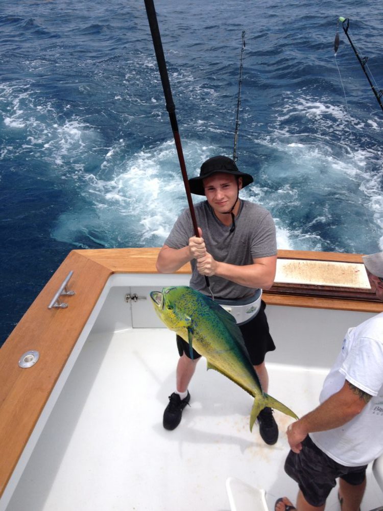 Mahi-Mahi (dolphin fish)