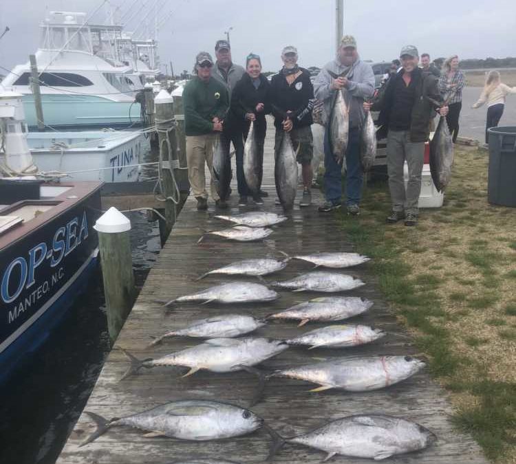 Good Yellowfin Fishing