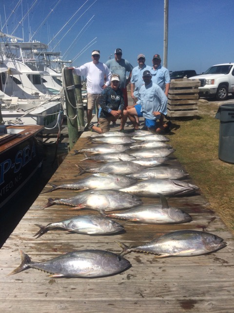 4/27/17  Yellowfin!