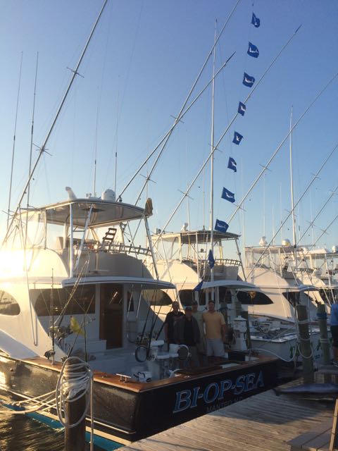 9/8/16  Great Marlin fishing