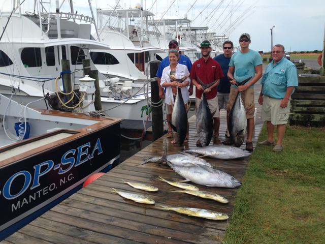 7/16/16  More nice Tunas