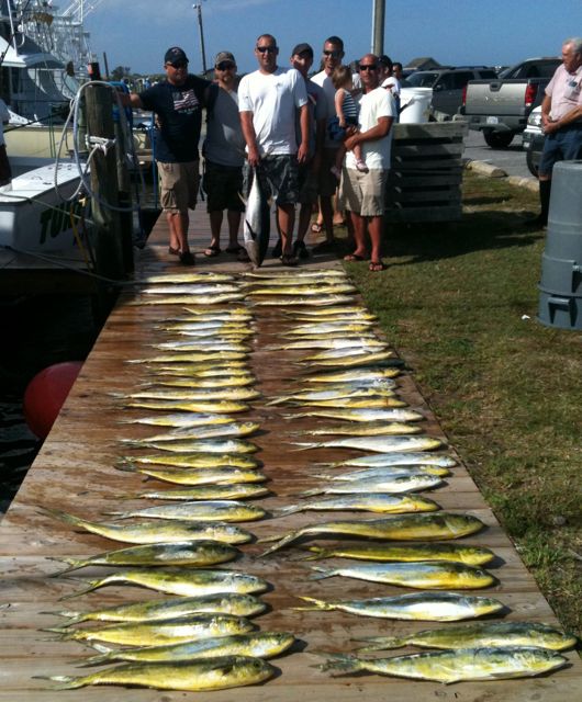5-29-12, Dolphin Today and Lone Tuna