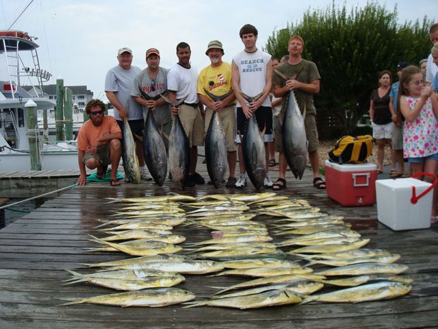 6-30-10, Dolphins and Buff Tunas