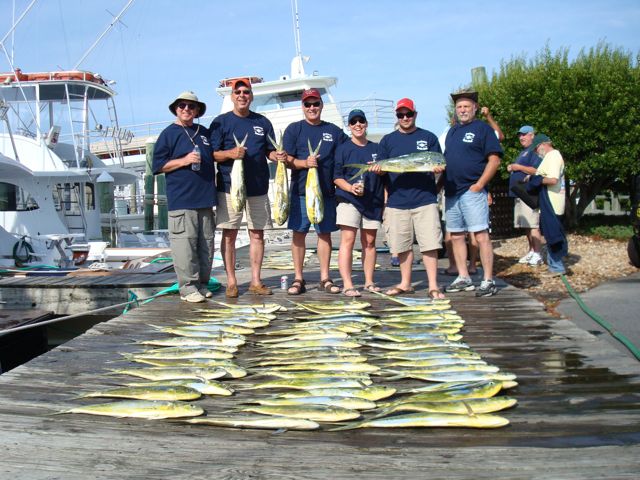 6-8-10, Limit of Dolphin