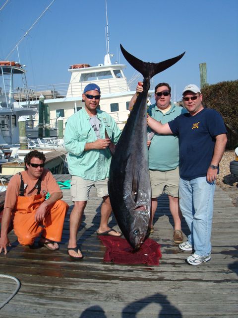 Big Bluefin